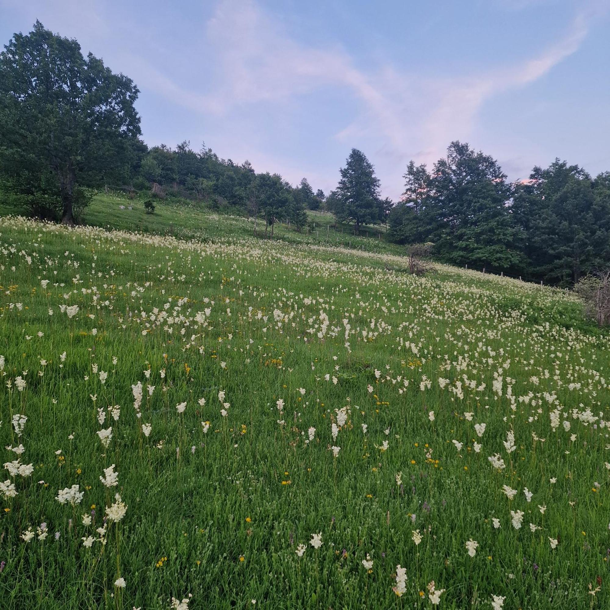 Apartmani Vukomanovo Mojkovac Exterior foto